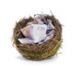 Money Nest